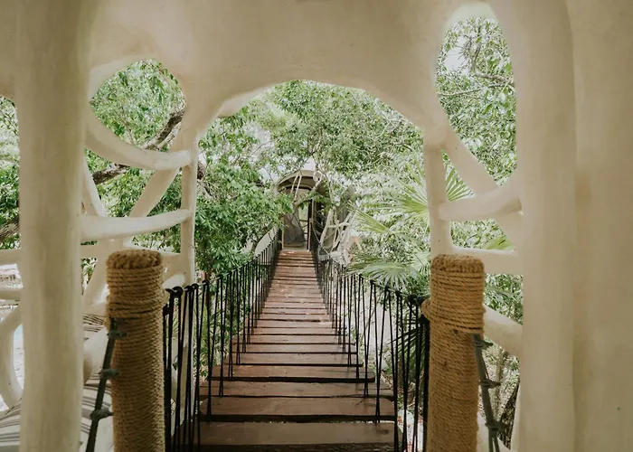Hotel El Sueno Riviera Maya 4*